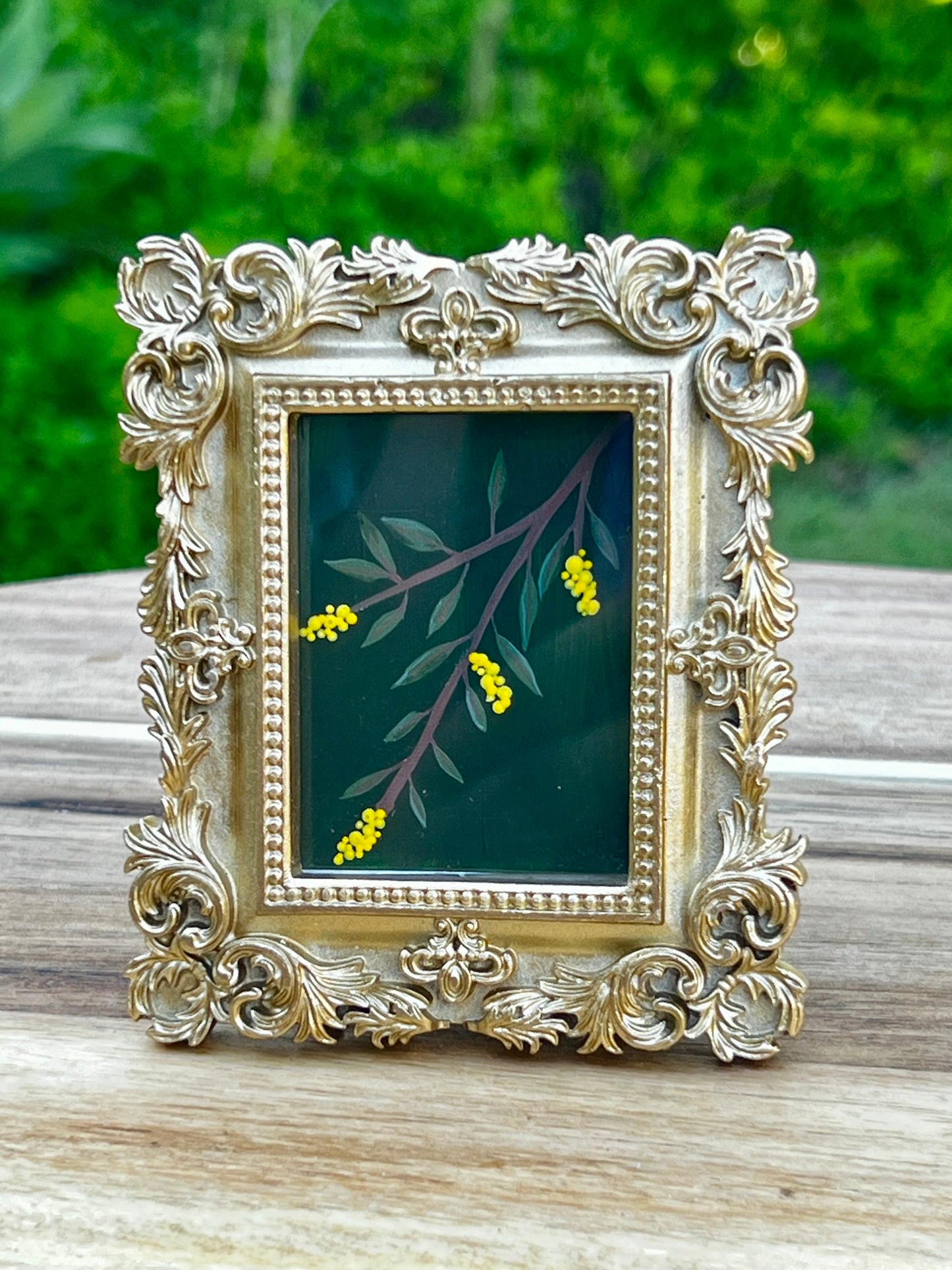 Mini - Golden Wattle