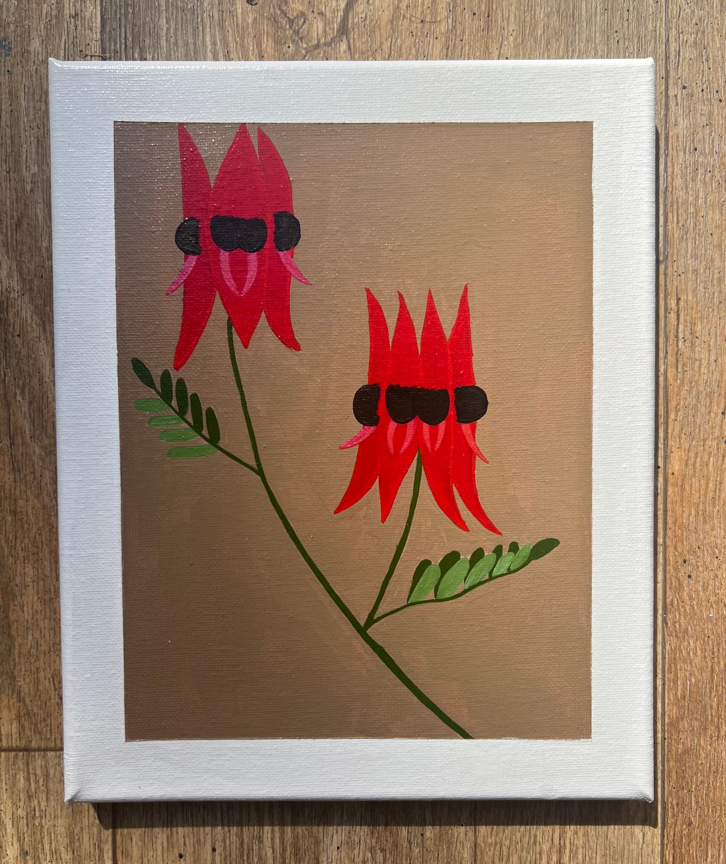 Sturt's Desert Pea