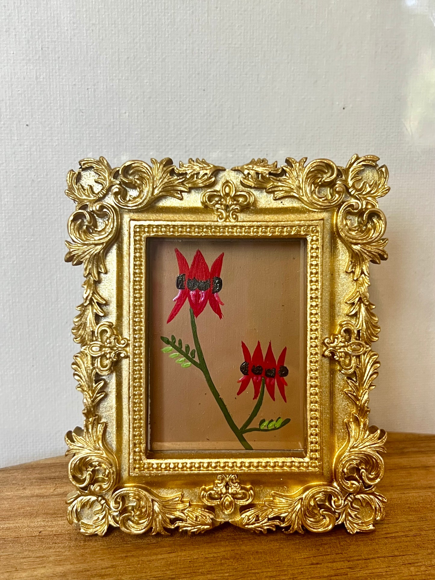 Mini - Sturts Desert Pea