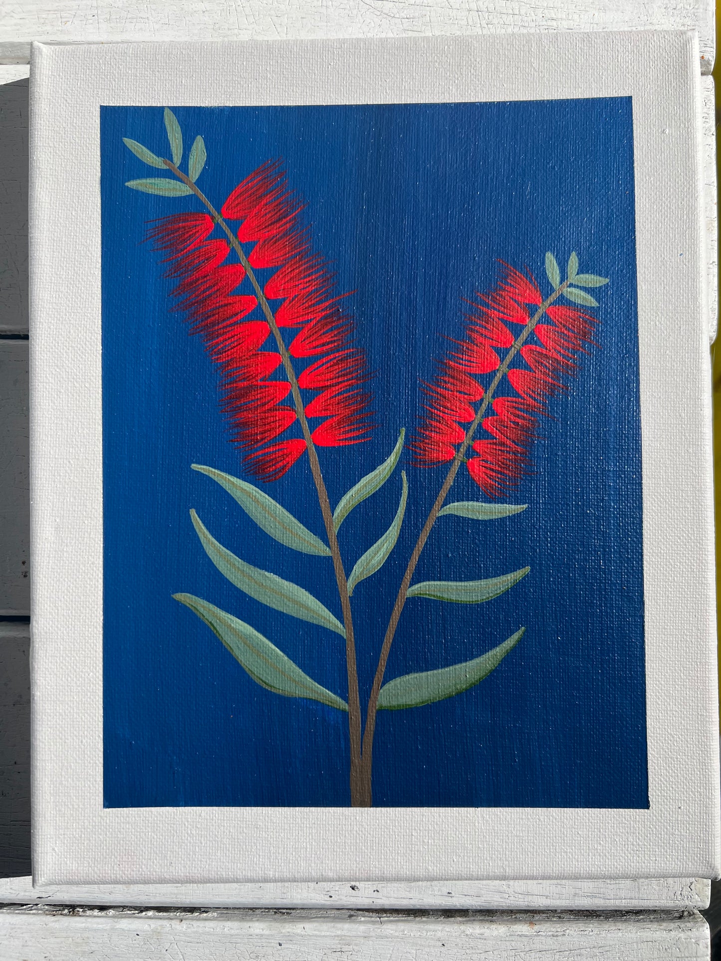 Red Bottlebrush