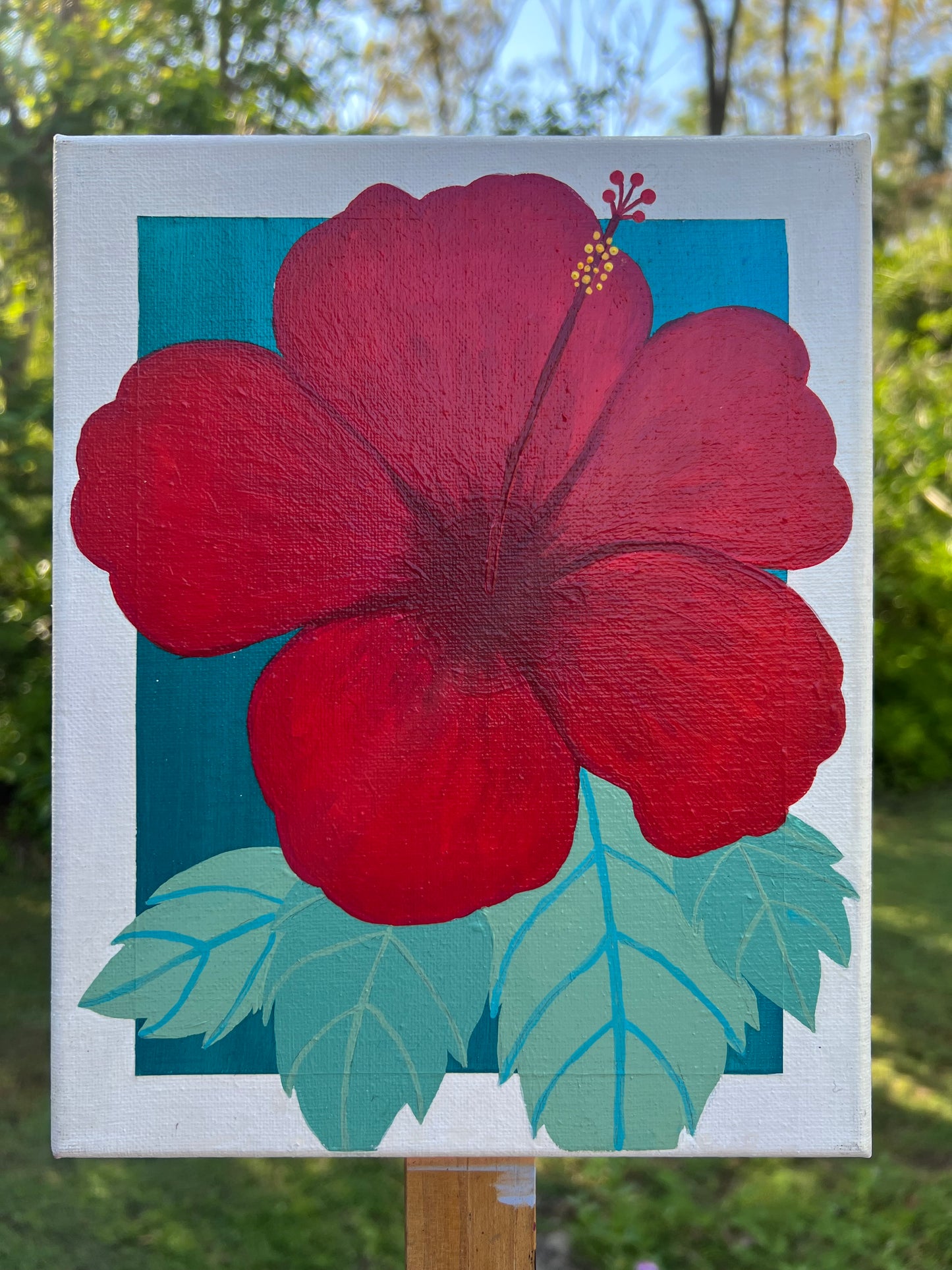 Hibiscus