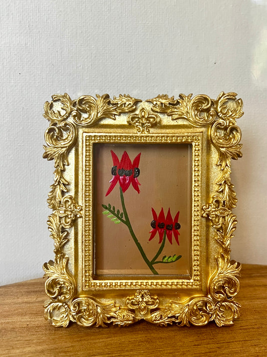 Mini - Sturts Desert Pea