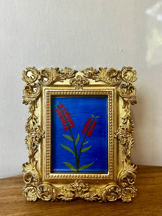 Mini - Red Bottlebrush