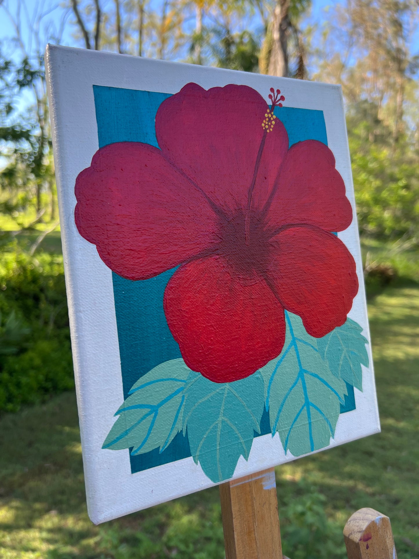 Hibiscus
