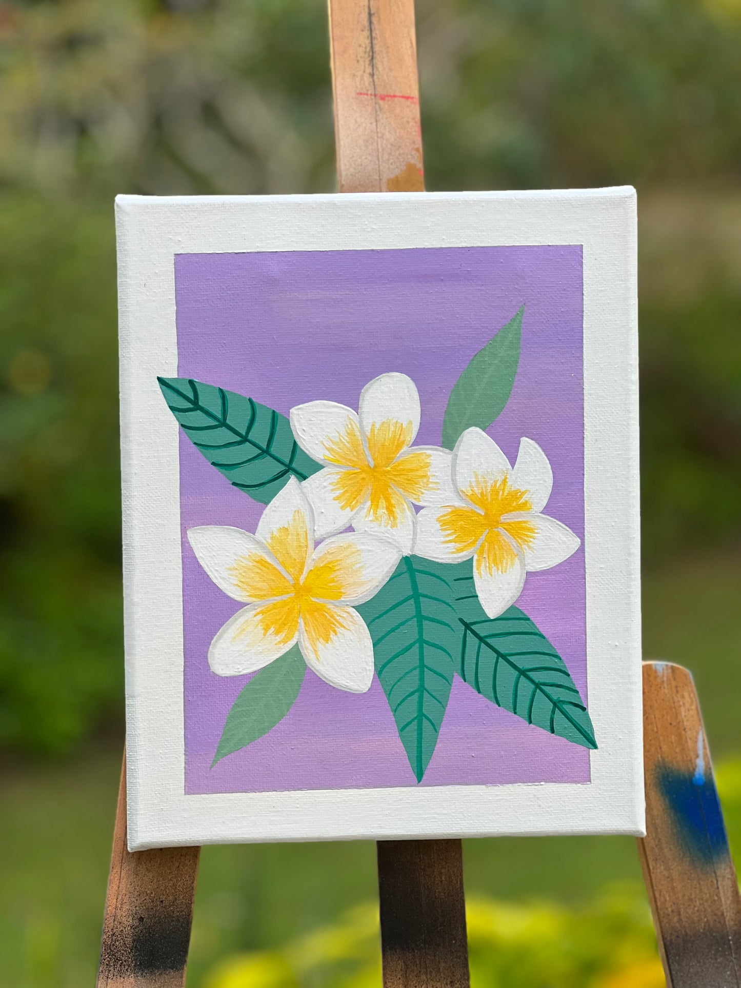 Frangipani