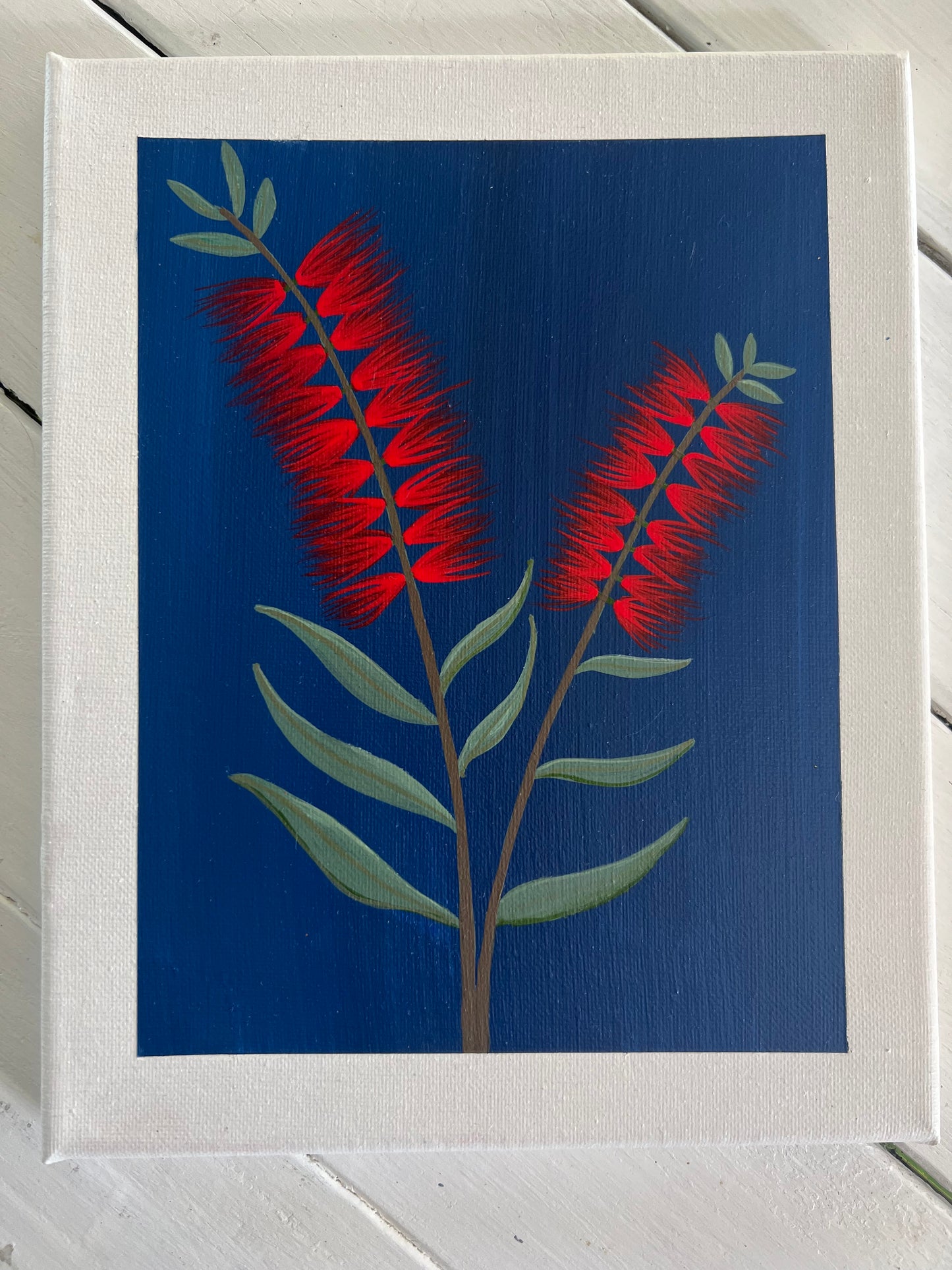 Red Bottlebrush