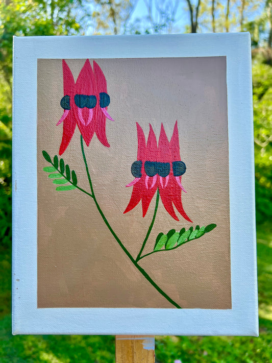 Sturt's Desert Pea