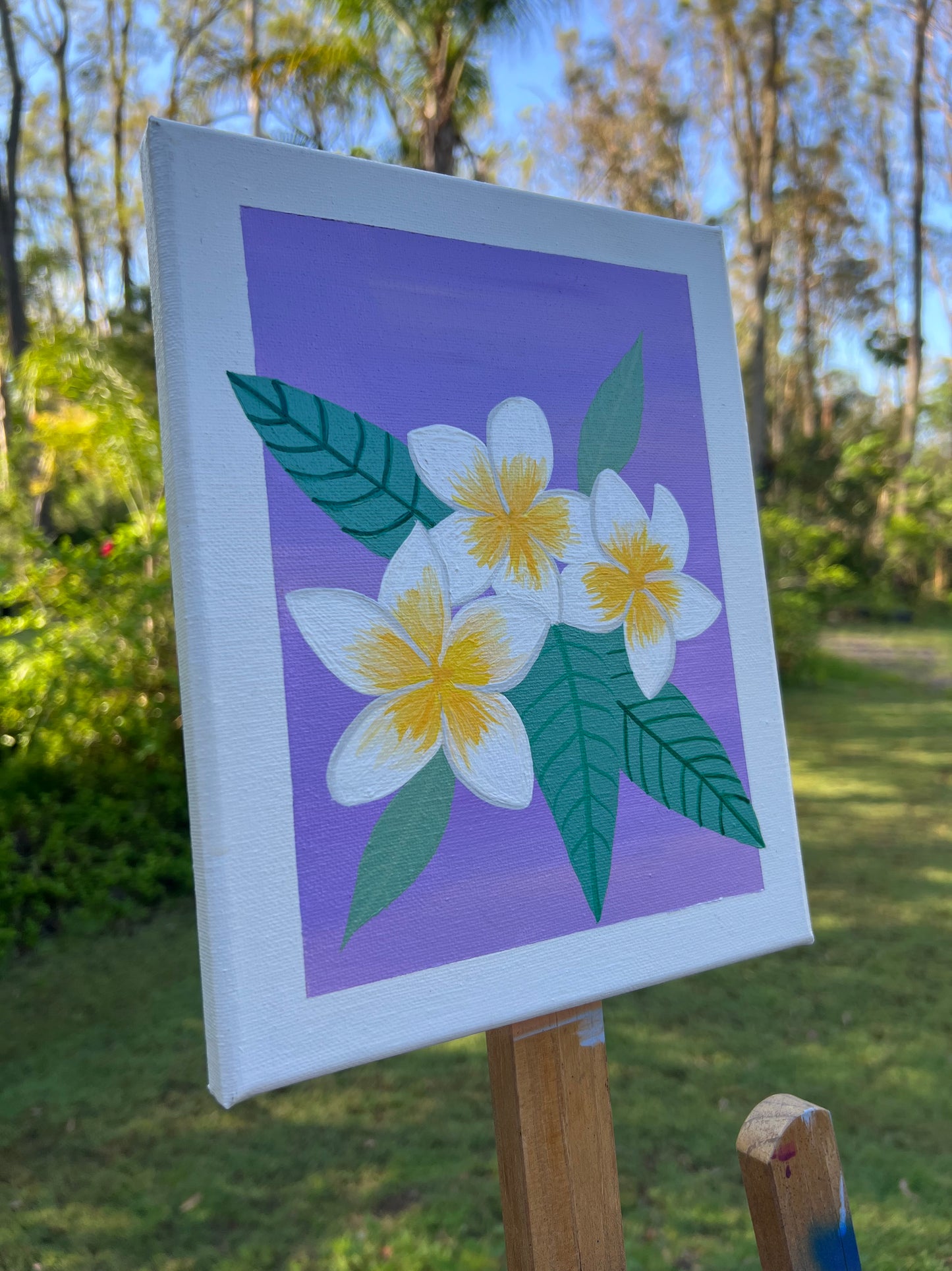 Frangipani