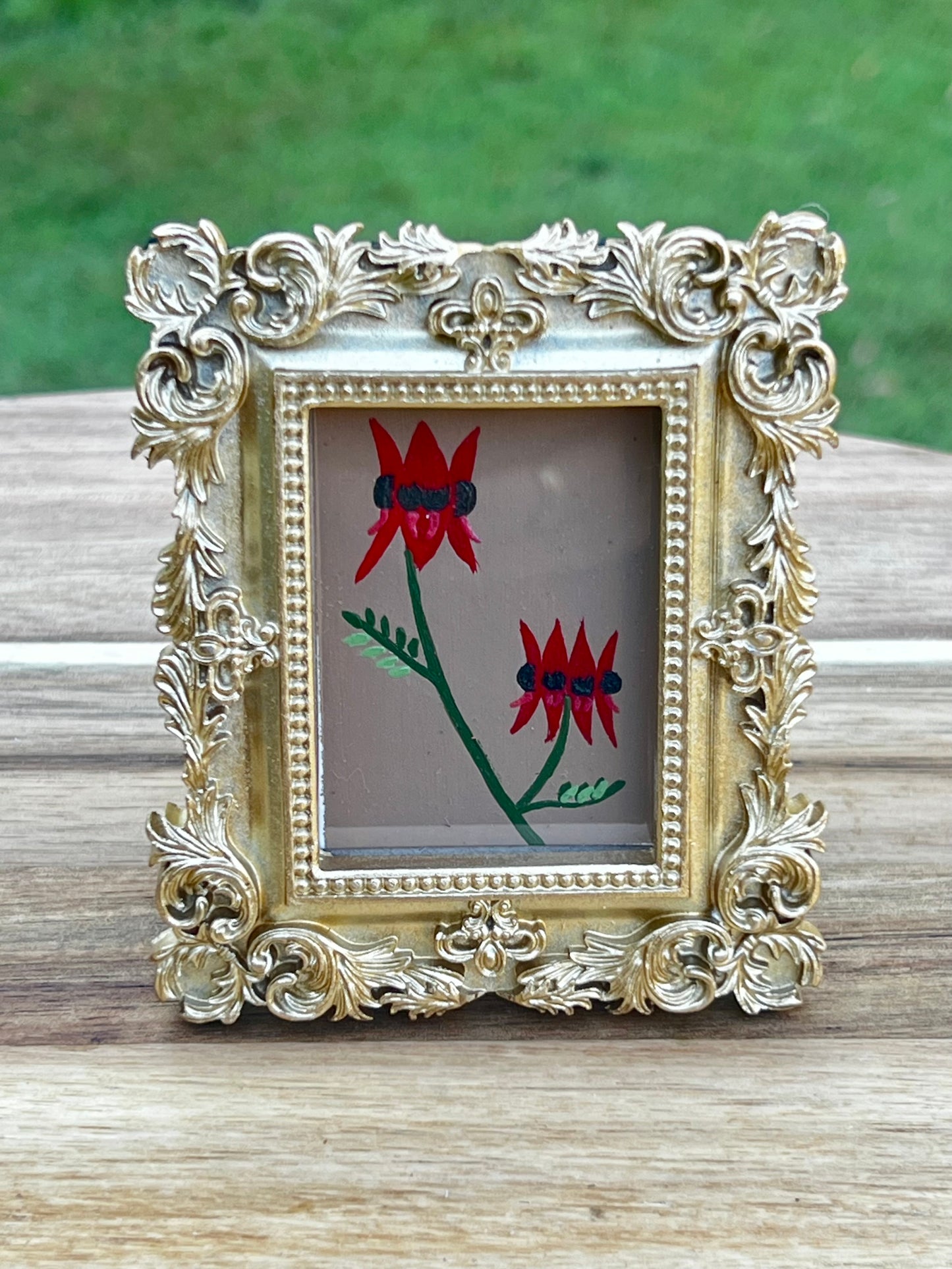 Mini - Sturts Desert Pea