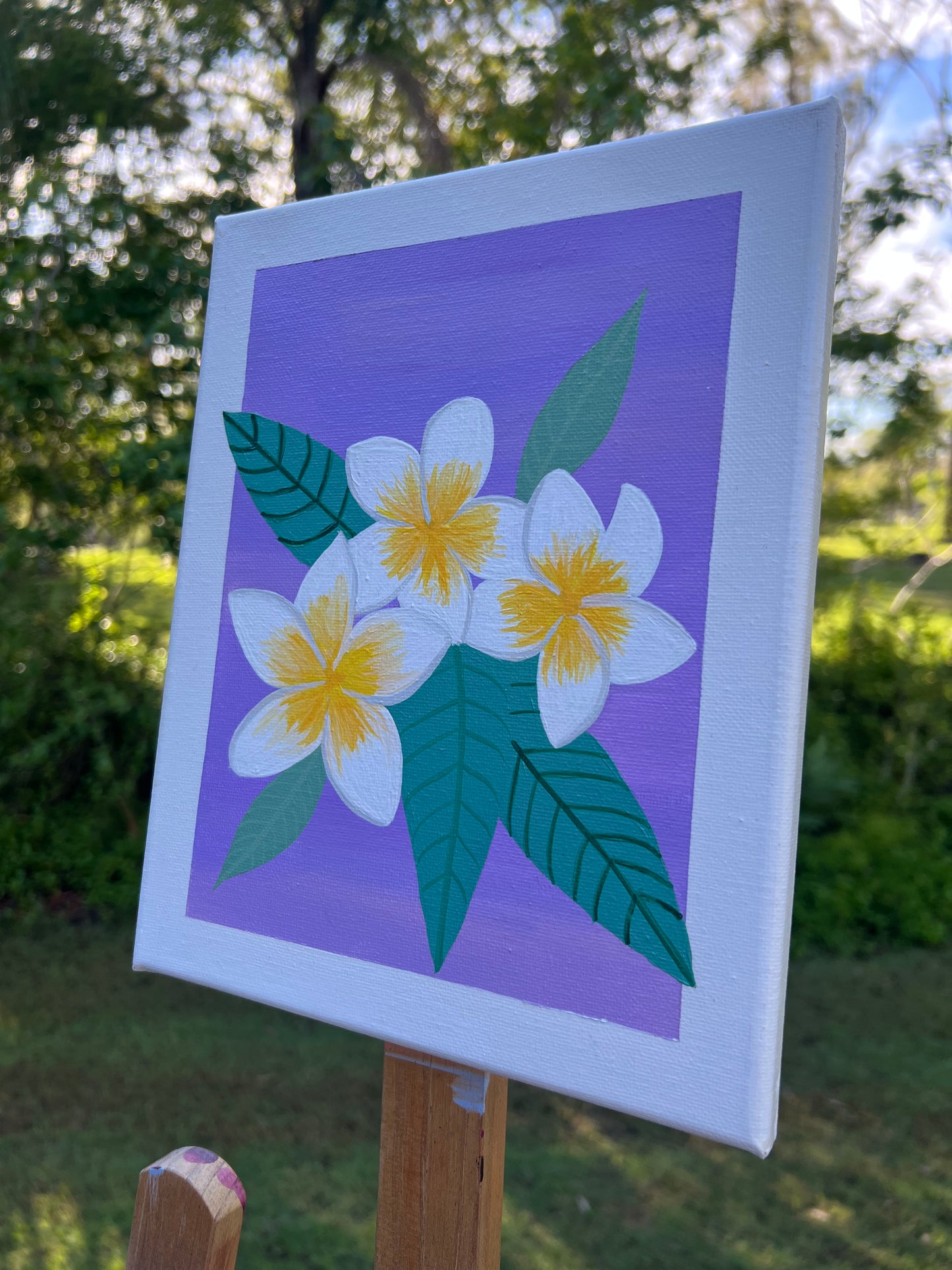 Frangipani