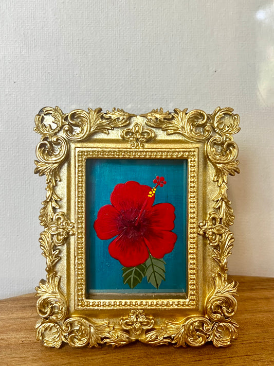 Mini - Hibiscus