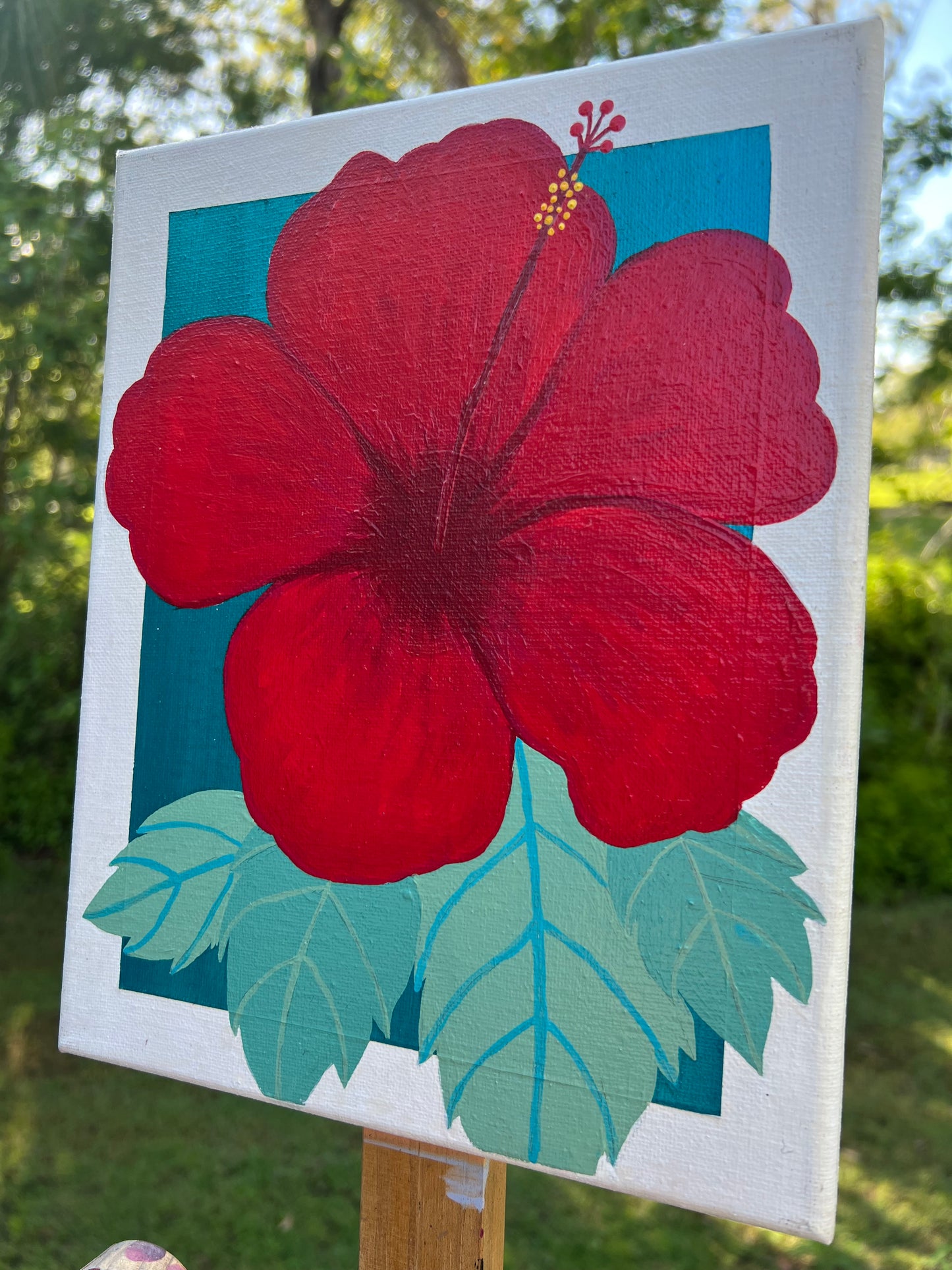 Hibiscus
